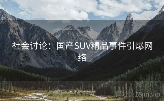 社会讨论：国产SUV精品事件引爆网络