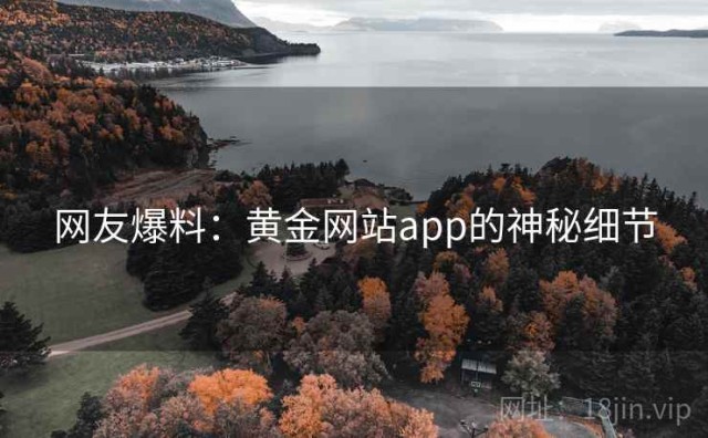 网友爆料：黄金网站app的神秘细节