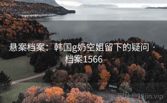 悬案档案：韩国g奶空姐留下的疑问 · 档案1566