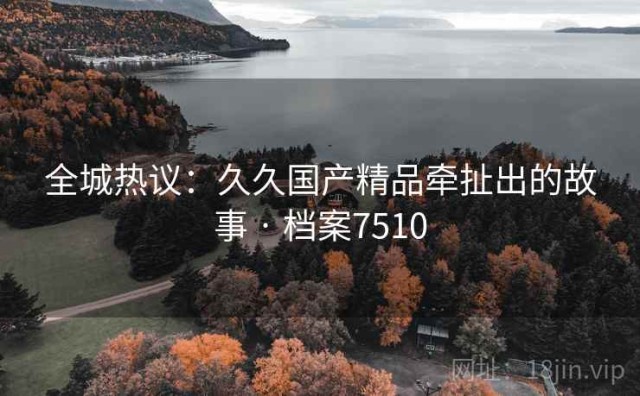 全城热议：久久国产精品牵扯出的故事 · 档案7510