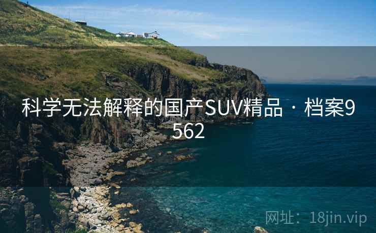 科学无法解释的国产SUV精品 · 档案9562