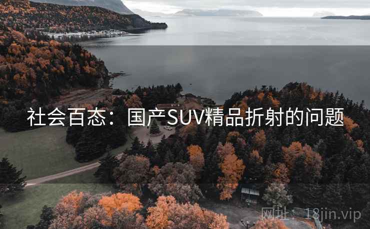 社会百态：国产SUV精品折射的问题